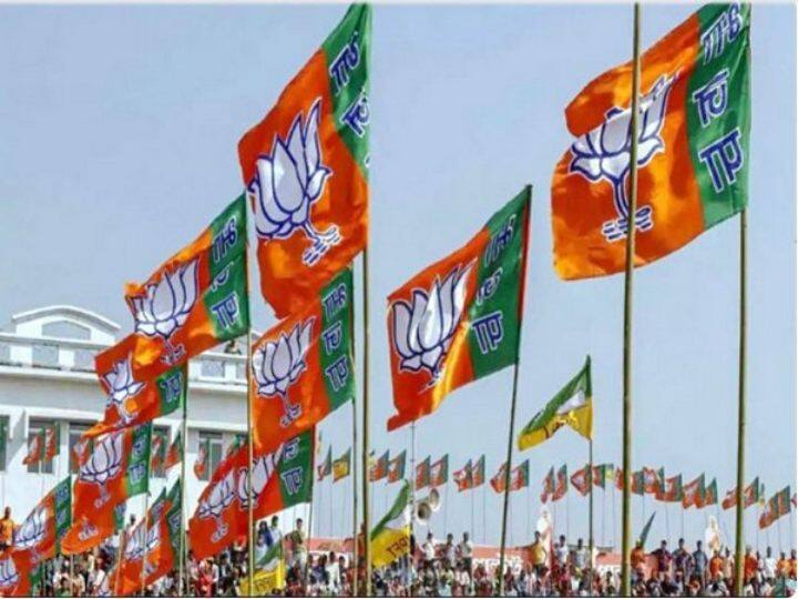 Nandurbar Grampanchayat Election Results BJP dominates in Nandurbar wins 42 out of 75 Gram Panchayats Nandurbar Grampanchayat Election Results : नंदुरबारमध्ये भाजपचे वर्चस्व,  75 पैकी 42 ग्रामपंचायतींवर कमळ, राष्ट्रवादीला केवळ एका जागेवर समाधान