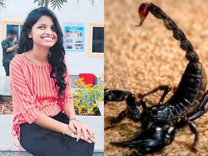 Sircilla: Engineering student dies of Scorpion bite in Sircilla Municipality, Telangana DNN BTech Student Dies: తేలు కాటుకి బీటెక్ విద్యార్థిని మృతి, తల్లితండ్రులకు సాయం చేయబోతే ప్రాణం పోయింది