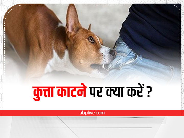 Dog bite injection side effects in hindi sale