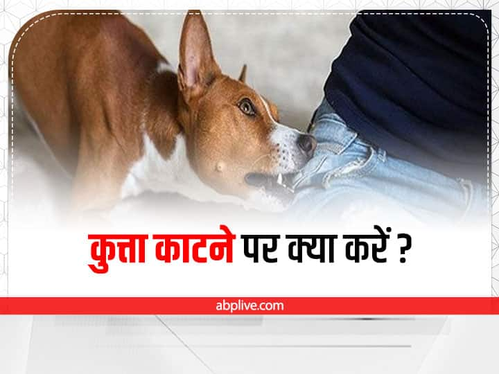 How To Treat A Dog Bite Naturally in hindi कुत्ते के दांत से लग जाए खरोंच, तो तुरंत अपनाएं ये टिप्स नहीं फैलेगा जहर