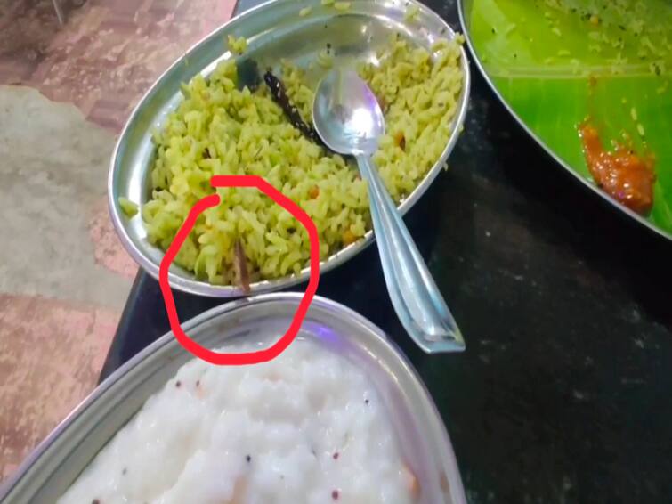 People who eat in restaurants are afraid of the horror of serving food with cockroaches in the restaurant உணவில் கரப்பான் பூச்சி.... வாடிக்கையாளர் அச்சம்...ஹோட்டல்களில் தொடரும் அவலம்