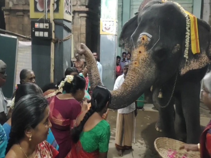 சங்கடஹர சதுர்த்தி: மாயூரநாதர் கோயில் ஸ்ரீ மகா கணபதி  சன்னதியில் கஜ பூஜை