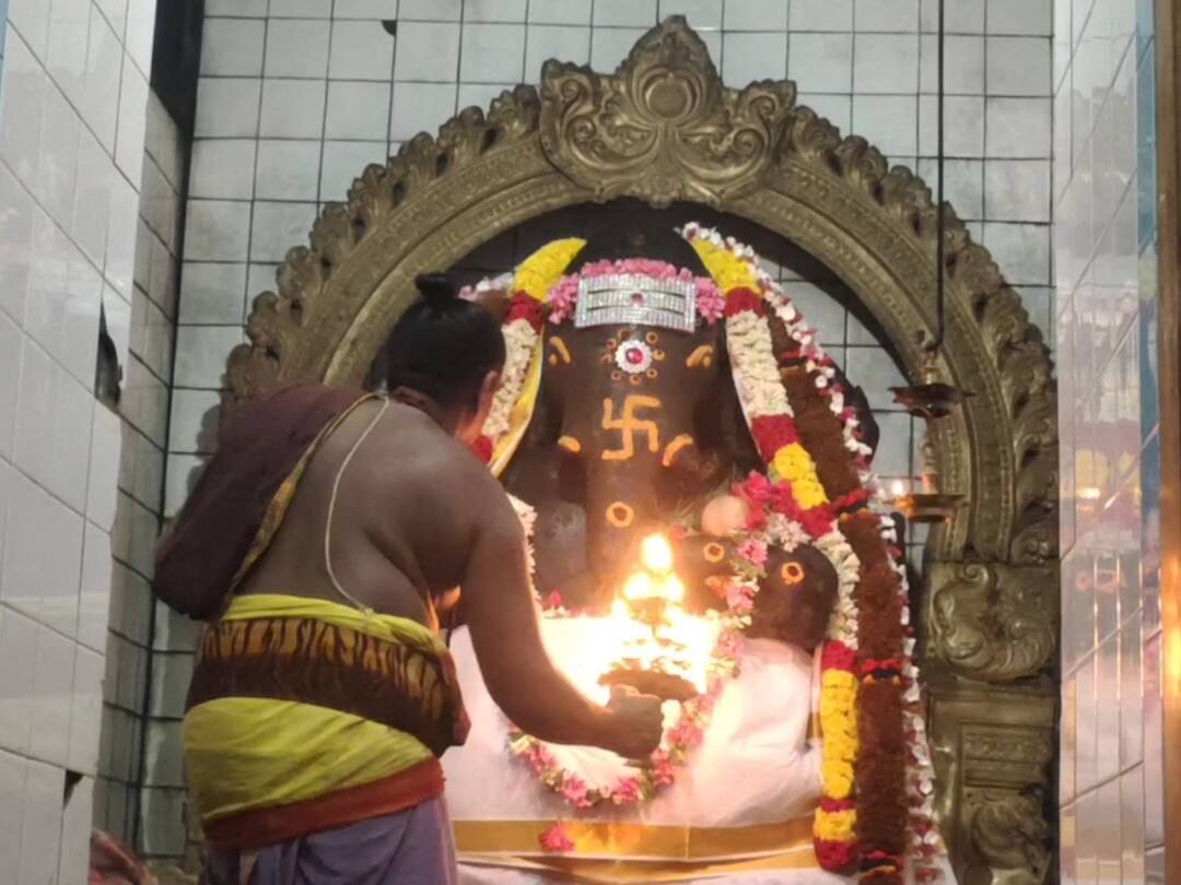 Special Gaja Pujas for Mayiladuthurai Elephant Abhayambikai. சங்கடஹர சதுர்த்தி: மாயூரநாதர் கோயில் ஸ்ரீ மகா கணபதி  சன்னதியில் கஜ பூஜை