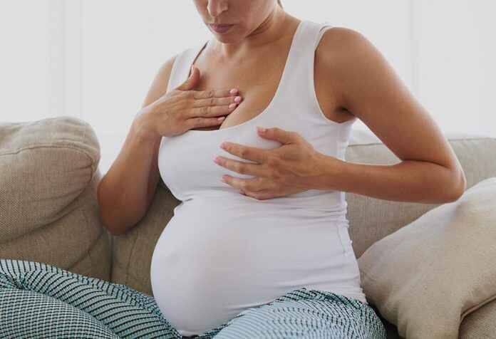 Pregnancy Bra: Know these things about maternity bra, it will be very comfortable during pregnancy Pregnancy Bra : ਮੈਟਰਨਿਟੀ ਬ੍ਰਾ ਬਾਰੇ ਜ਼ਰੂਰ ਜਾਣੋ ਇਹ ਗੱਲਾਂ, ਪ੍ਰੈਗਨੈਂਸੀ ਦੌਰਾਨ ਰਹੇਗਾ ਬਹੁਤ ਆਰਾਮਦਾਇਕ