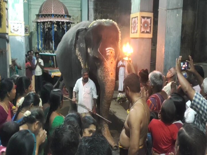 சங்கடஹர சதுர்த்தி: மாயூரநாதர் கோயில் ஸ்ரீ மகா கணபதி  சன்னதியில் கஜ பூஜை