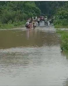 पुणे, सोलापूर जिल्ह्यात जोरदार पाऊस