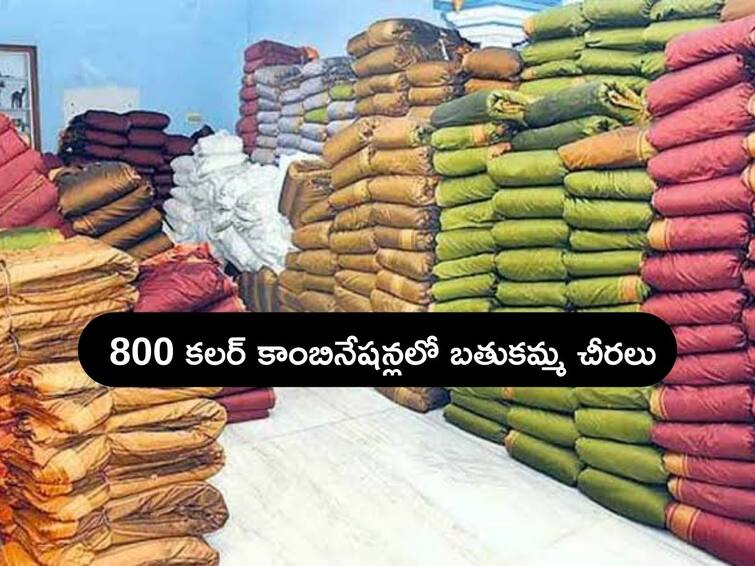 Telangana: Bathukamma Sarees in 800 Colour Cominations and 240 Designs this year DNN Bathukamma Sarees: 240 ఆకర్షణీయమైన డిజైన్లతో బతుకమ్మ చీరలు, త్వరలోనే పంపిణీ చేయనున్న ప్రభుత్వం