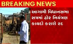 માલધારી સમાજની નારાજગી વચ્ચે સરકાર હવે ઢોર નિયંત્રણ કાયદો કરશે રદ્દ, જુઓ વીડિયો