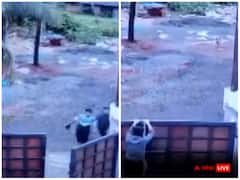 स्कूली बच्चों पर कुत्तों ने फिर किया हमला, बचने के लिए छात्रों ने लगाई दौड़