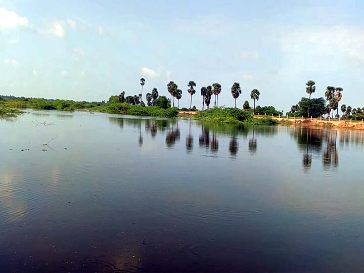 சிவகங்கை : மறுகால் பாயும் மேல நெட்டூர் கண்மாய்....தண்ணீர் பெருகியதால் விவசாயங்கள் பாதிப்பு