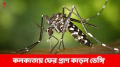 ফের ডেঙ্গি আক্রান্তের মৃত্যু, এবার উত্তর কলকাতায়