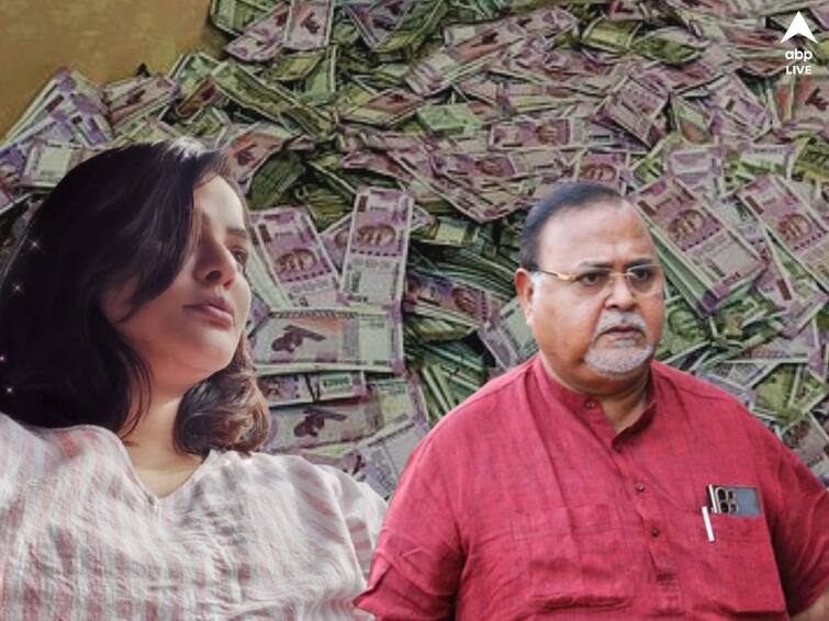 Partha Chatterjee and Arpita Mukherjee cry heart out while saying they are iinocent SSC Scam: জেলে বসেই ভার্চুয়াল শুনানি, কেঁদে ভাসালেন পার্থ-অর্পিতা