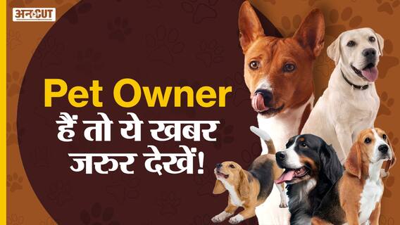 Pitbull Attack: अगर आप Pet Owner हैं तो ये Rules और Regulations जान लीजिए | Viral Video | Dog Attack