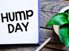 బుధవారానికి ఒంటెకు ఏం సంబంధం? 1950ల నుంచి ఫాలో అవుతున్న ట్రెడిషన్ ఏంటీ?