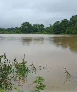 राज्याच्या विविध भागात पावसाची हजेरी