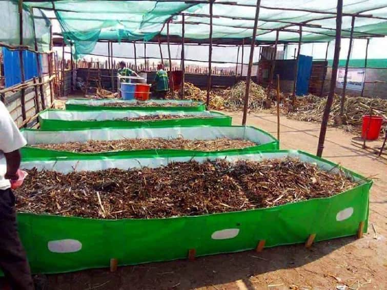 Benefits of Earthworms for agriculture மண்வளத்தை காக்கும் மண்புழுக்கள்.. மண்புழு உரத் தயாரிப்பு குறித்து தெரியுமா?