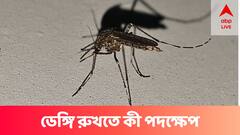 হু হু করে বাড়ছে ডেঙ্গি, মৃত্যু উত্তরবঙ্গেও, কী কী ব্যবস্থা নিচ্ছে প্রশাসন