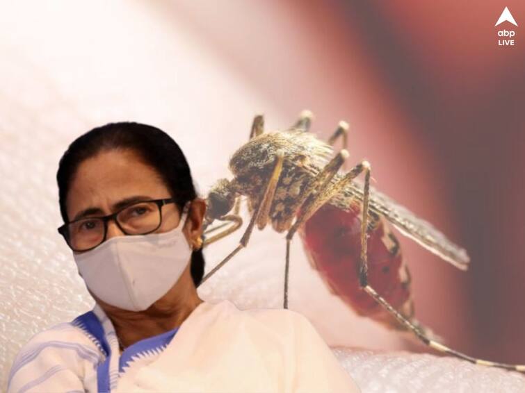 Dengue 3 infection is spreading in West Bengal Mamata Banerjee urges to be cautious Dengue-3 Updates: রাজ্যে বিপজ্জনক ভাবে বাড়ছে ডেঙ্গি থ্রি-র প্রকোপ, সতর্ক হওয়ার নির্দেশ মুখ্যমন্ত্রীর