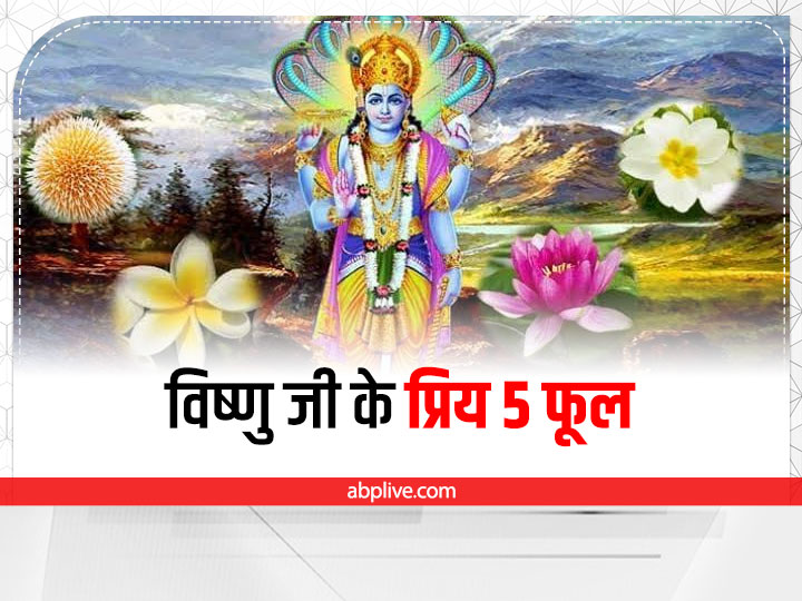 क्या भगवान विष्णु, भगवान शिव की पूजा करते हैं ? - Quora