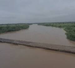 Photo : राज्याच्या विविध भागात पावसाची हजेरी