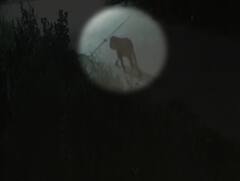 ગીર સોમનાથઃ ગ્રામ્ય વિસ્તારમાં દીપડાના આંટાફેરાથી ફફડાટ, જુઓ આ વીડિયો