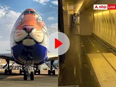 MP News: विमान की सीटें निकाल कर चीतों के लिए तैयार किया गया स्पेशल प्लेन, सामने आया ये वीडियो