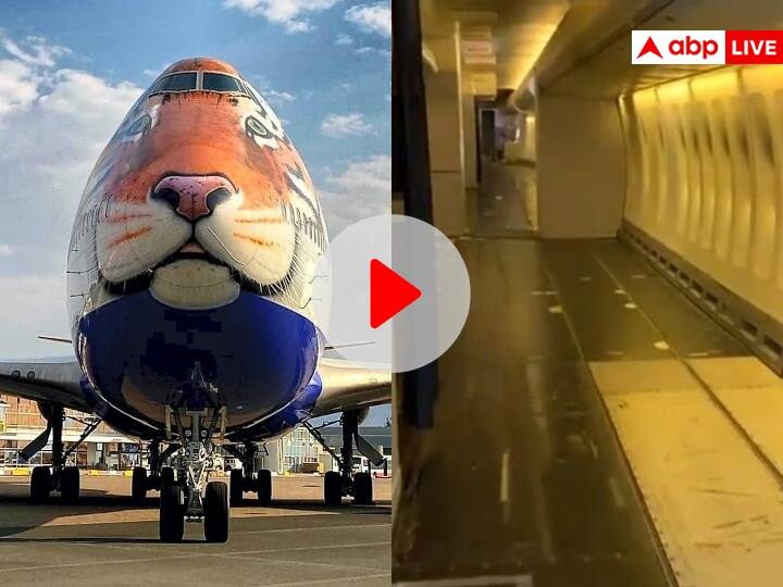 MP Special plane for cheetahs by removing seats of plane Boeing 747-400, see video ANN MP News: विमान की सीटें निकाल कर चीतों के लिए तैयार किया गया स्पेशल प्लेन, सामने आया ये वीडियो