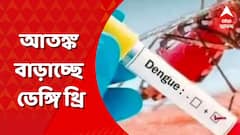 পুজোর মুখে আতঙ্ক বাড়াচ্ছে ডেঙ্গি থ্রি, কী বলছেন চিকিৎসকেরা?