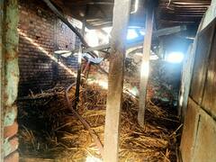 Wardha News : वर्धा जिल्ह्यात शॉर्टसर्किटमुळे गोठ्याला भीषण आग; चार जनावरांचा होरपळून मृत्यू