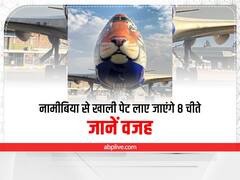 MP News: नामीबिया से स्पेशल विमान से खाली पेट भारत लाए जाएंगे 8 चीते, जानें वजह