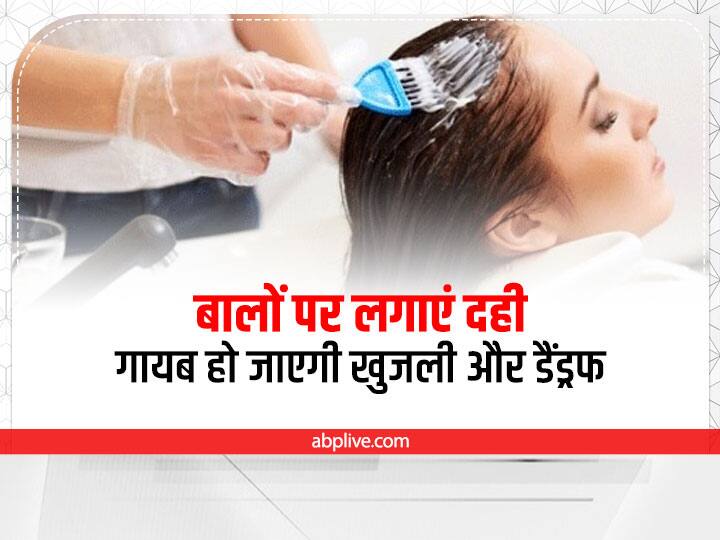 Curd Hair Mask: बालों में डैंड्रफ, खुजली या फिर रूखेपन की समस्या से परेशान हैं तो इसके लिए बालों पर दही लगाएं. दही बालों के लिए किसी वरदान से कम नहीं है. जानिए बालों पर दही लगाने का सही तरीका.