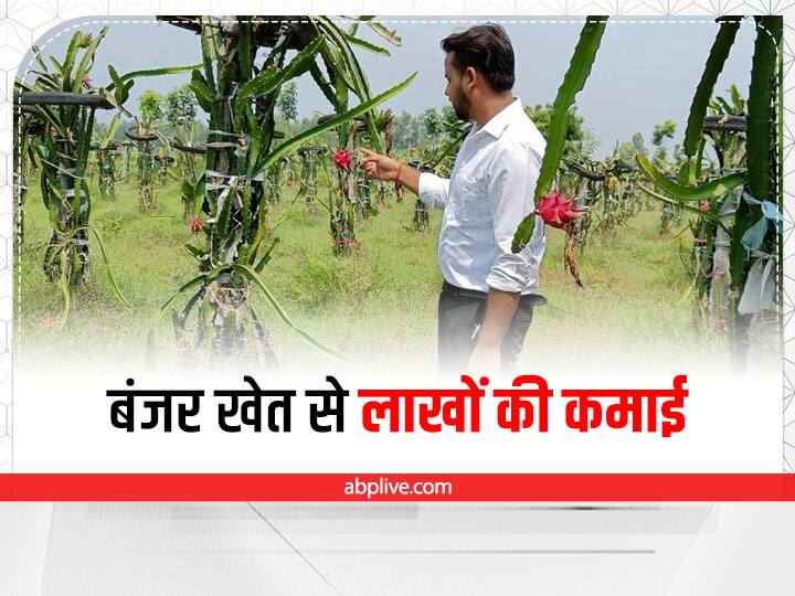 Success Story: इंजीनियरिंग से मोहभंग हुआ तो पुश्तैनी खेत में लगाया ड्रैगन फ्रूट का बाग, अब बंजर जमीन से लाखों कमा रहा है ये किसान Atul Mishra of UP earned lakhs by cultivating dragon fruit in an ancestral barren farm Success Story: इंजीनियरिंग से मोहभंग हुआ तो पुश्तैनी खेत में लगाया ड्रैगन फ्रूट का बाग, अब बंजर जमीन से लाखों कमा रहा है ये किसान