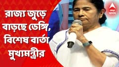 চিন্তা বাড়িয়ে বাংলায় বাড়ছে ডেঙ্গি, প্রশাসনকে সতর্ক করলেন মুখ্যমন্ত্রী
