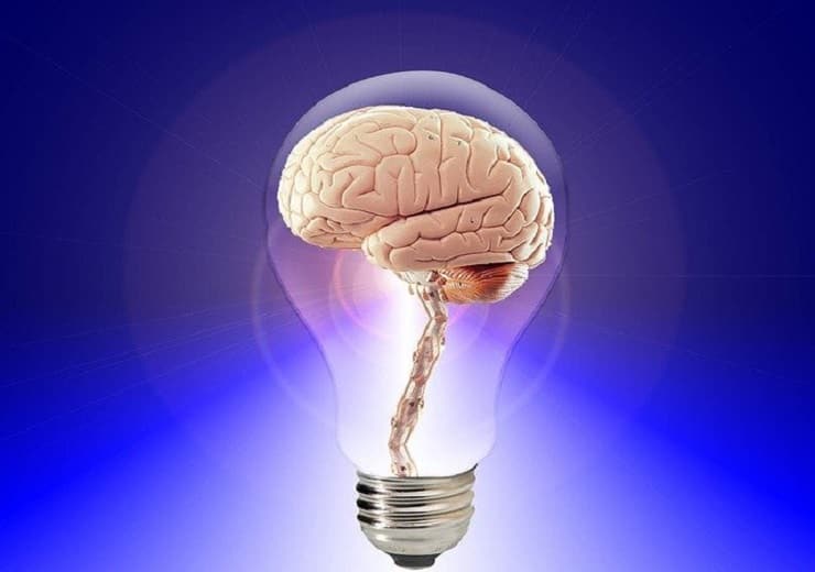 human brain produce energy fact about brain Human Brain Interesting Facts: इंसानी दिमाग में भी पैदा होती है इतनी बिजली कि जलाया सकता है बल्ब