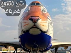 Tiger-Faced Plane: స్పెషల్‌ ఫ్లైట్‌లో భారత్‌కు ఆఫ్రికన్ చీతాలు, విమానాన్నీ పులిలా మార్చేశారే!