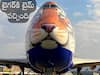 Tiger-Faced Plane: స్పెషల్‌ ఫ్లైట్‌లో భారత్‌కు ఆఫ్రికన్ చీతాలు, విమానాన్నీ పులిలా మార్చేశారే!