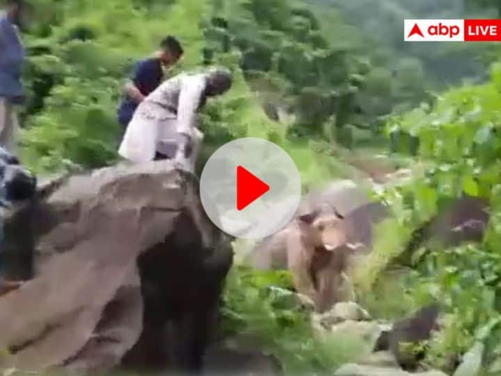 Watch An elephant strays onto the National Highway 54 former CM Trivendra Singh Rawat was present Watch: हाथी ने रोका पूर्व CM त्रिवेंद्र सिंह रावत का काफिला, चट्टान पर चढ़कर बचाई जान, सामने आया वीडियो