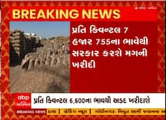 રાજ્યના લાભ પાંચમથી મગફળી ની ટેકાના ભાવે ખરીદી થશે શરૂ