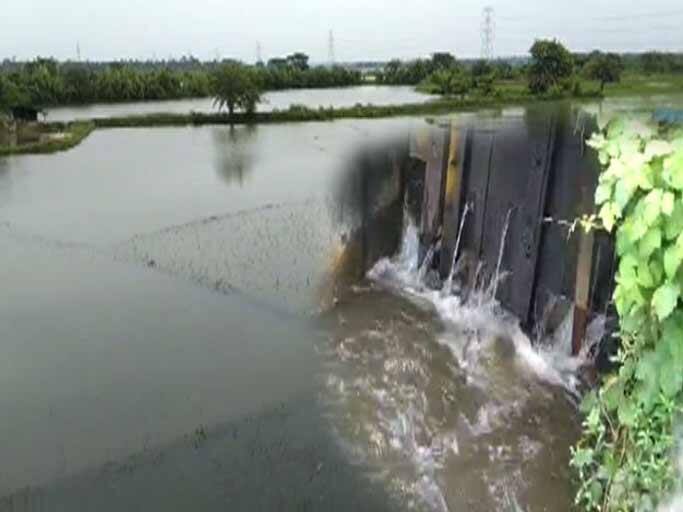 North 24 Parganas News: Vidyadhari river switchgate break hazard, flooded paddy fields, many families leave houses North 24 Parganas News: বিদ্যাধরী নদীর সুইচগেট ভেঙে বিপত্তি, প্লাবিত ধান জমি, ঘর ছাড়া বহু পরিবার