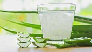 Aloe Vera Juice : ਕੀ ਤੁਸੀਂ ਜਾਣਦੇ ਹੋ ਖ਼ਾਲੀ ਪੇਟ ਐਲੋਵੇਰਾ ਜੂਸ ਪੀਣ ਦੇ ਫਾਇਦੇ, ਕਈ ਬਿਮਾਰੀਆਂ ਹੋ ਜਾਣਗੀਆਂ ਦੂਰ
