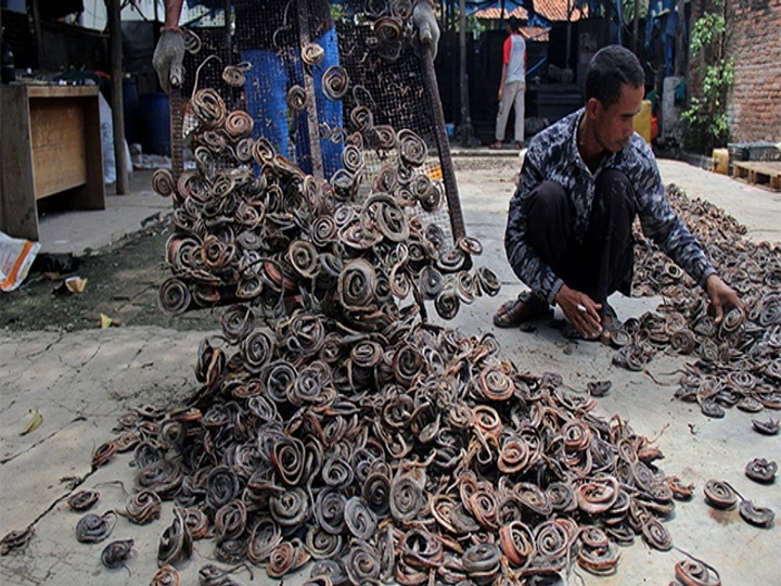 Snake Farming: ગાય-ભેંસ-બકરી છોડી દો! આ ગામના લોકો દર વર્ષે 30 લાખ ઝેરી સાપ પાળે છે