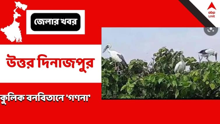 Census Of Migratory Birds From Siberia Has Started In Kulik Banabitan In North Dinajpur North Dinajpur: সাইবেরিয়া থেকে কজন 'বিদেশি অতিথি'? গণনা শুরু রায়গঞ্জের কুলিক বনবিতানে