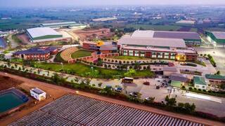 Sahyadri Farms : नऊ पिके, 18 हजार शेतकरी, 31 हजार एकर क्षेत्र, सह्याद्री फार्म्समध्ये 310 कोटींची परकीय गुंतवणूक