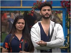 Bigg Boss 6 Telugu: నాలుగో నెలలో బిడ్డను పొగొట్టుకున్న మెరీనా - రోహిత్, ఎమోషన్‌తో నిండిపోయిన బిగ్‌బాస్ ఇల్లు