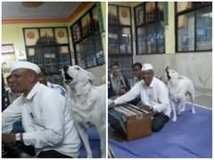 Video: ਭਗਵਾਨ ਦੇ ਮੰਦਰ 'ਚ ਭਗਤੀ 'ਚ ਮਗਨ ਹੋਇਆ ਕੁੱਤਾ, ਭਜਨ ਸੰਧਿਆ 'ਚ ਲਿਆ ਹਿੱਸਾ