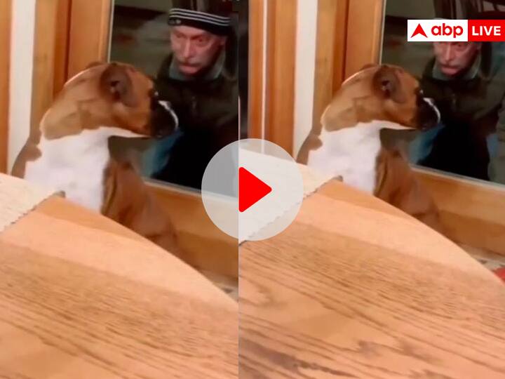 Old man playing prank with pet dog got scared and screamed funny viral video on social media Funny Video: शरारती दादाजी ने खिड़की से कुत्ते को ऐसे डराया, बेचारे की चीख निकल पड़ी