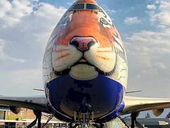 India Cheetah Project: नामीबिया से जल्द भारत पहुंचेंगे 8 चीते, PM मोदी के जन्मदिन पर देश को मिलेगा तोहफा, देखें तस्वीरें