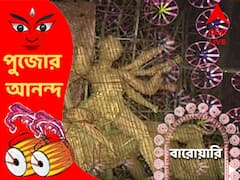 সুসময়ে ফেরার বার্তা, পুজোর থিমে করোনাকালের দুঃসময় তুলে ধরছে বাগুইআটির উদয়ন সঙ্ঘ