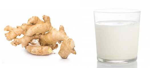 Milk For Health: Drink ginger milk in changing weather, you will not get sick and immunity will be strengthened Milk For Health : ਬਦਲਦੇ ਮੌਸਮ 'ਚ ਪੀਓ ਅਦਰਕ ਵਾਲਾ ਦੁੱਧ, ਨਹੀਂ ਹੋਵੋਗੇ ਬਿਮਾਰ ਤੇ ਇਮਿਊਨਿਟੀ ਹੋ ਜਾਵੇਗੀ ਮਜ਼ਬੂਤ