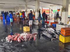 கன்னியாகுமரியில் மூடிய துறைமுகத்தில் மீன் விற்பனை செய்த நபர்களால் பரபரப்பு